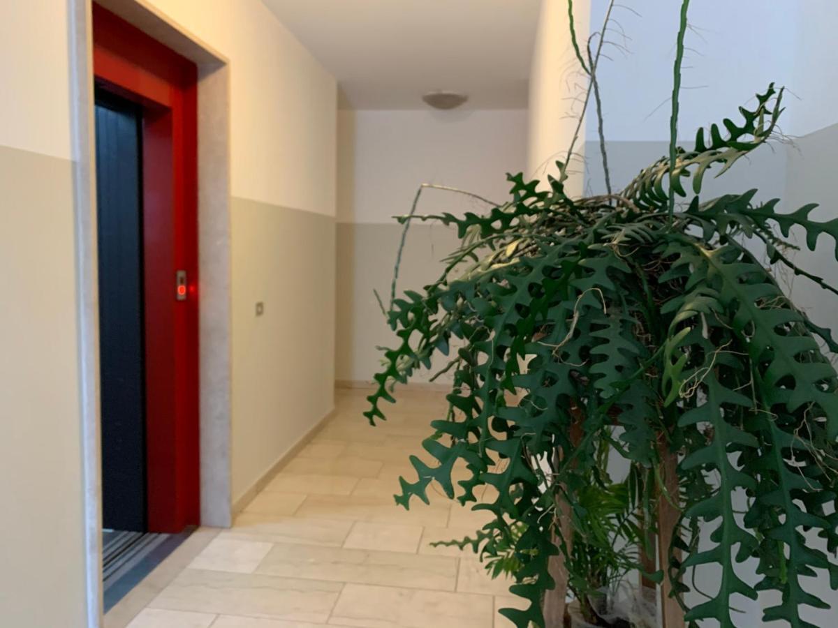B&B Verona Business And Fun G B Rossi Friendly Kültér fotó